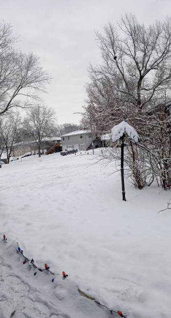 Snow covered yards and driveways. 